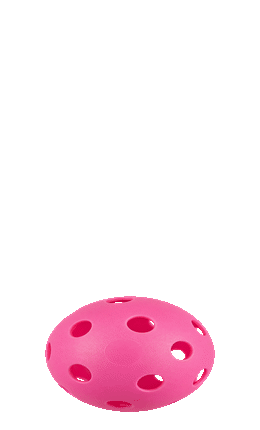 bouncing_pickleball_static